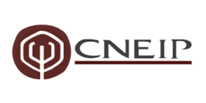 CNEIP-9dce22ff Instituto Tecnológico de Santo Domingo - Pasos y requisitos