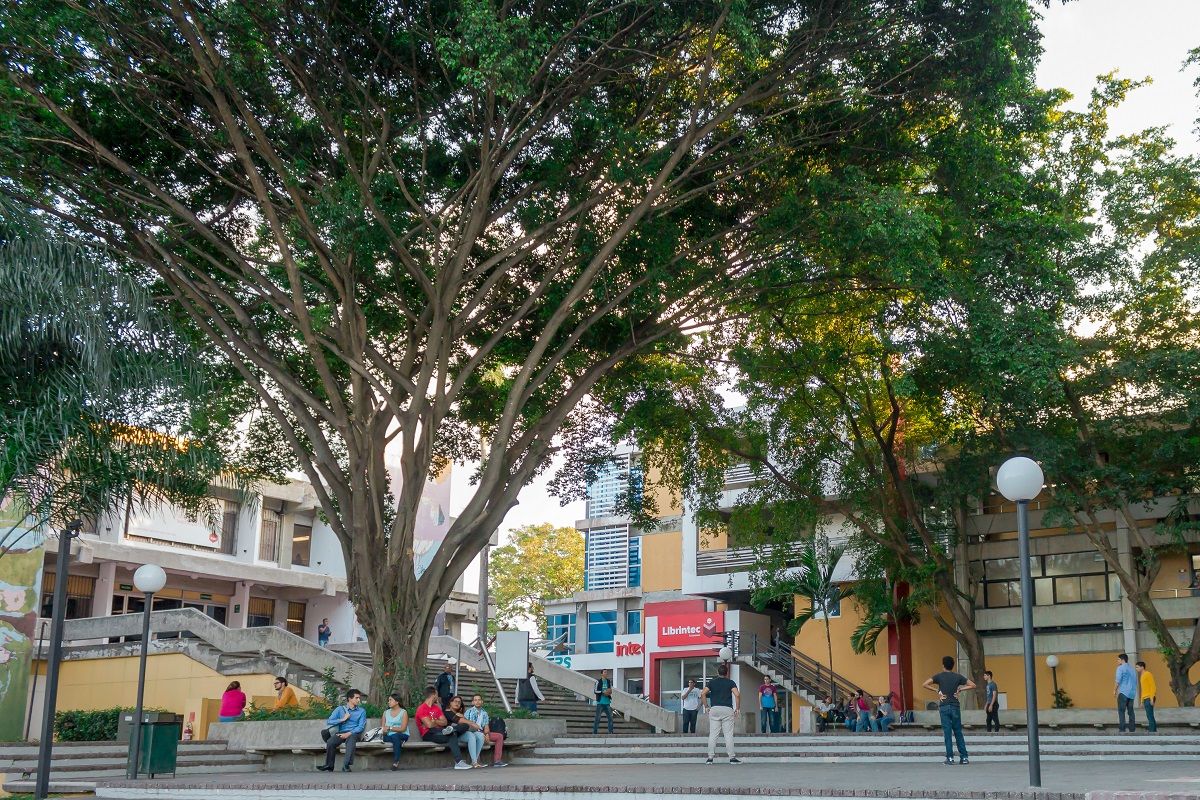 Instituto Tecnológico De Santo Domingo - INTEC Dedica Una Semana Para ...